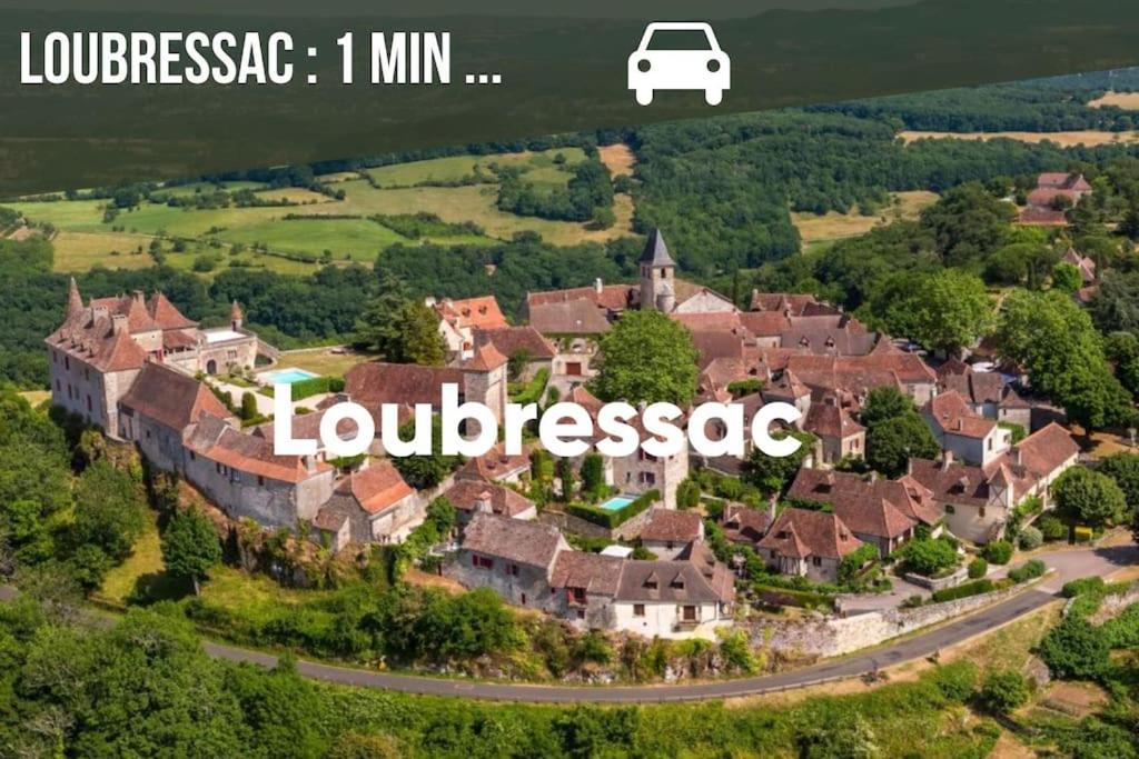 La Sagnarde, Maison En Pierre, Loubressac Экстерьер фото